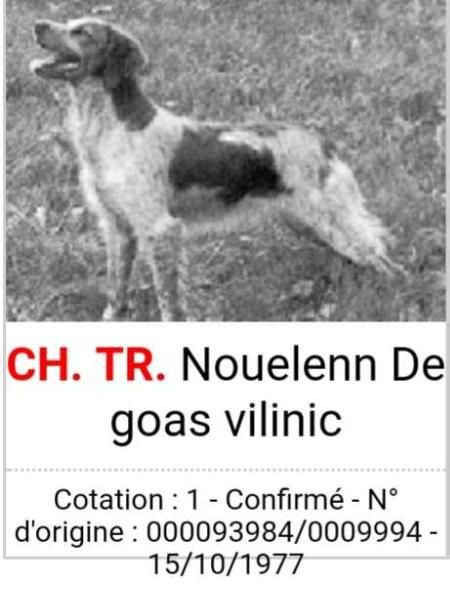 Nouelenn de Goas Vilinic