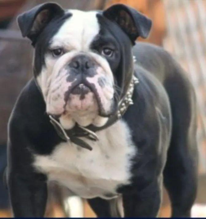 Mugshot's Floyd