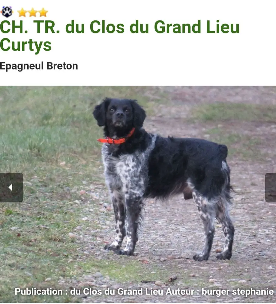 CURTYS du Clos du Grand Lieu