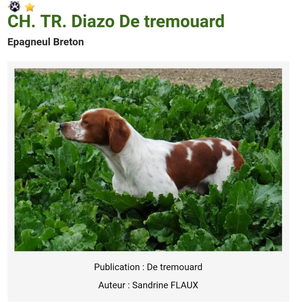 DIAZO de Tremouard