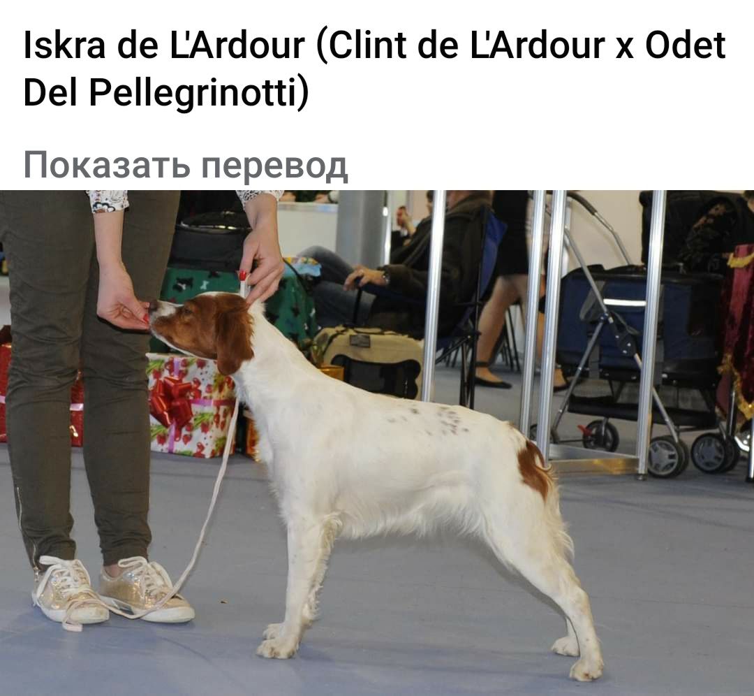 ISKRA de l'Ardour