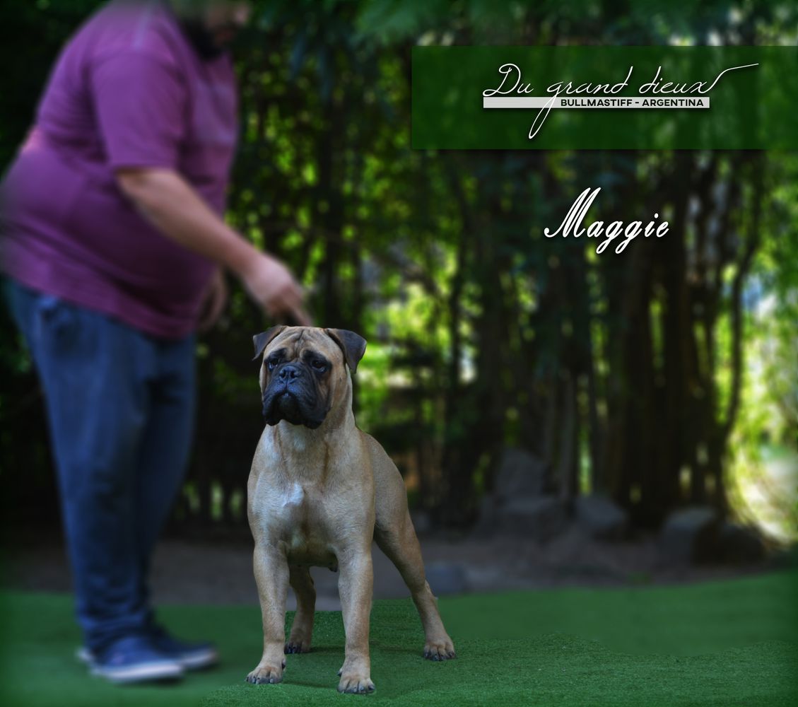 DU GRAND´S DIEUX MARGARET