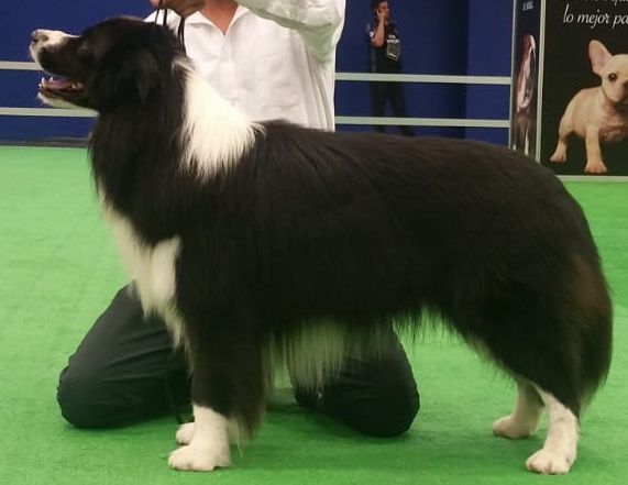 NAMASTE BORDERS BLACK PEARL