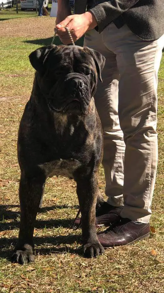 Chato's Barakus