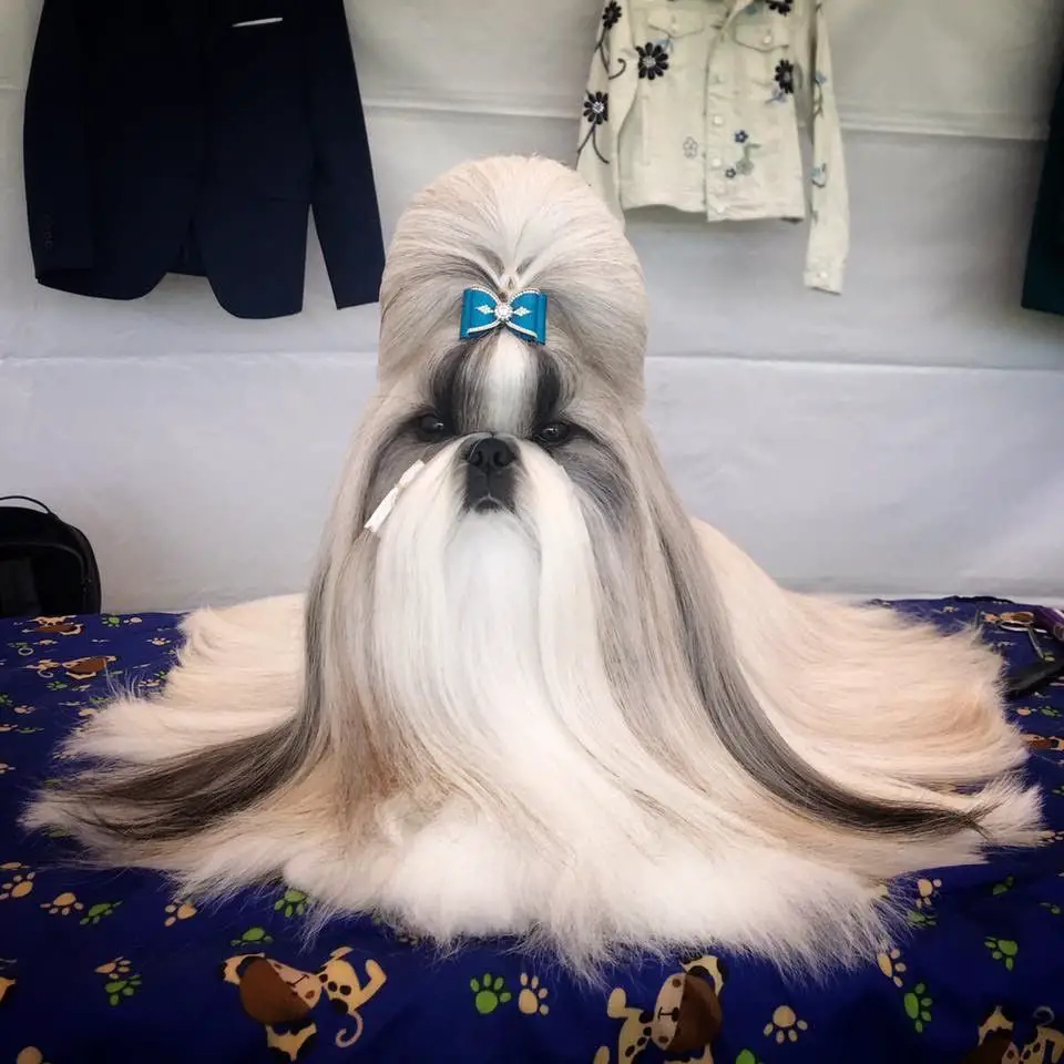 PEPPER'S KISS THIS DOLL