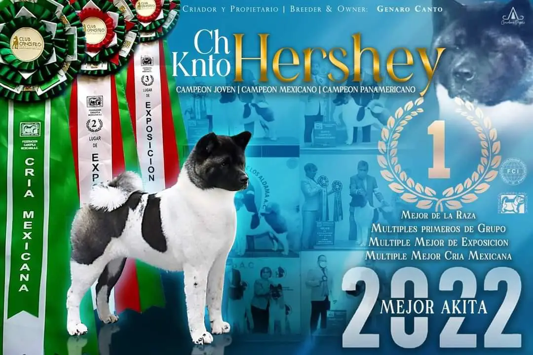 Knto Hershey