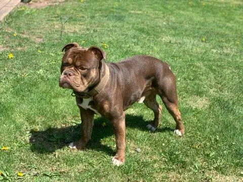 Shoreline's Riggs