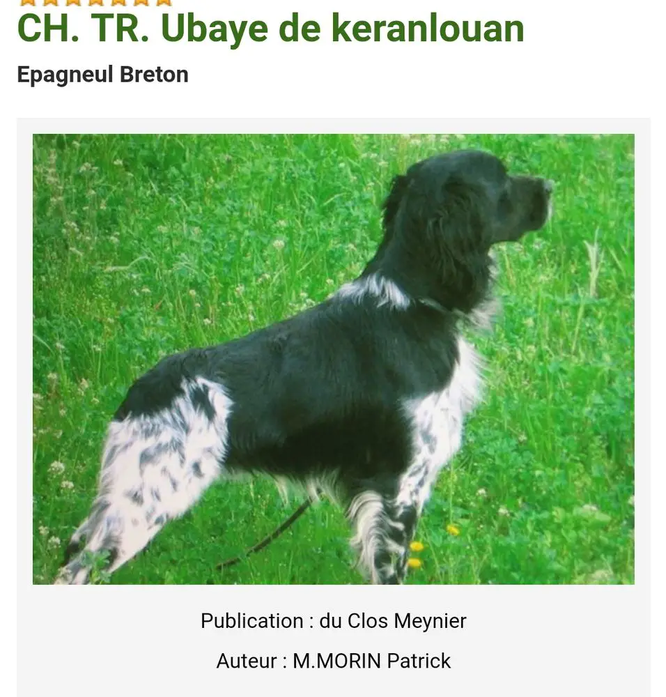 UBAYE de Keranlouan