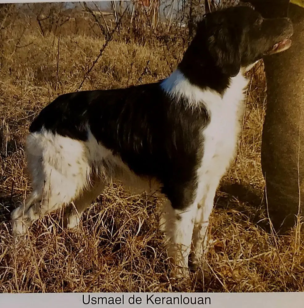 USMAEL de Keranlouan