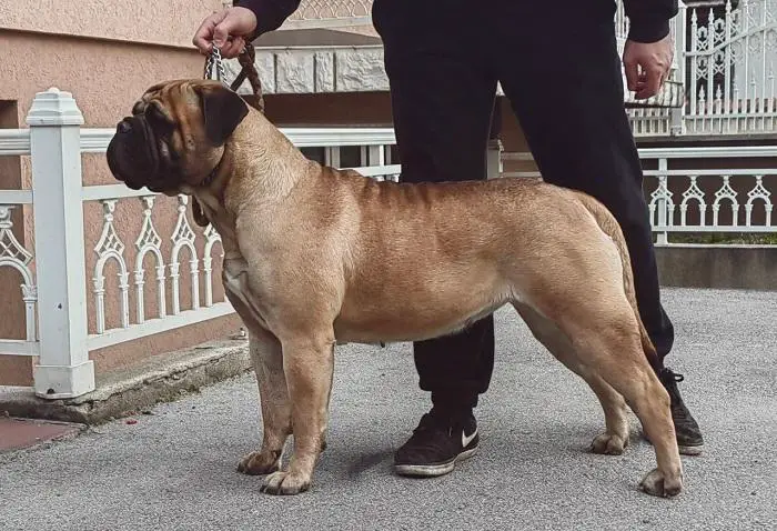 Helena