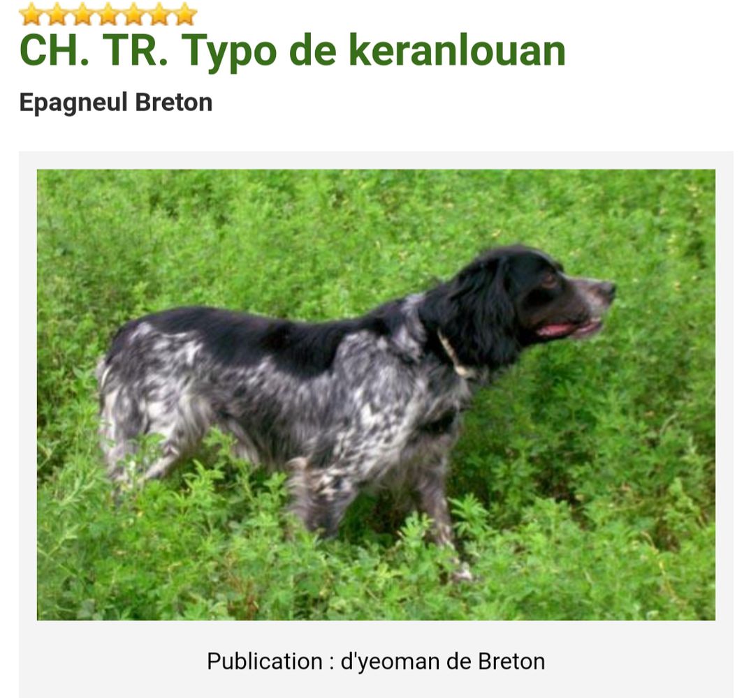 TYPO de Keranlouan