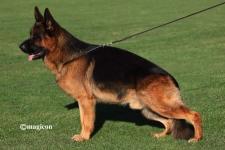 Obut du Pavillon Chinois