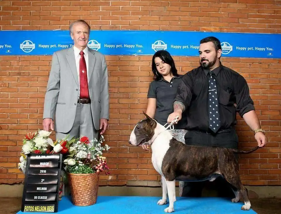 Boris aquila ja kadesh family