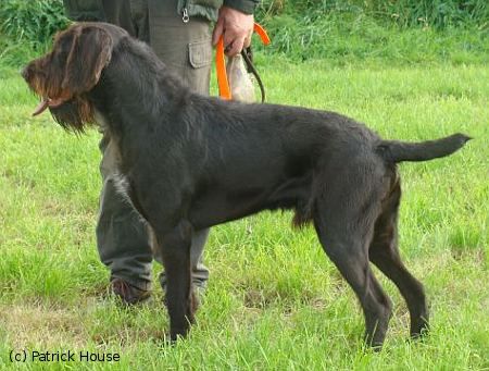Hannes vom Fuchsberg