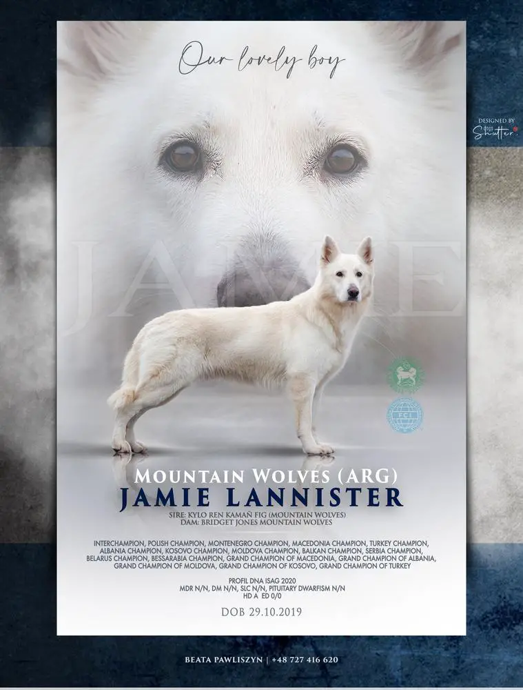 Mountain Wolves-Argentina JAMIE LANNISTER