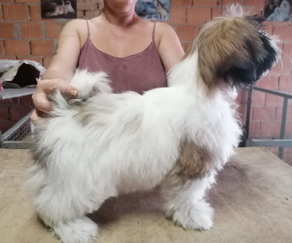 BIMBA DEL RANCH ALBA
