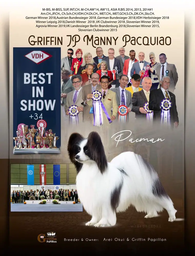 Griffin JP Manny Pacquiao