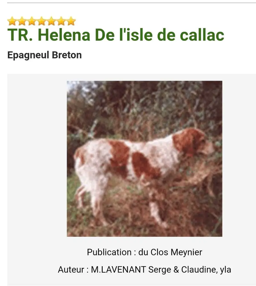 HELENA de l'Isle de Callac