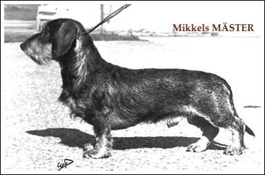 Mikkels Mäster