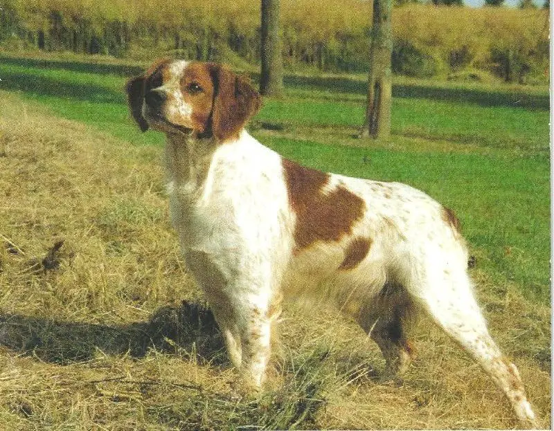 OHE de Saint Lubin