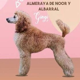 Almeraya De Noor Y Albarral