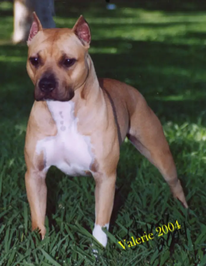 BAYTOWNS BLUPRINTS ALL DAT JAZZ