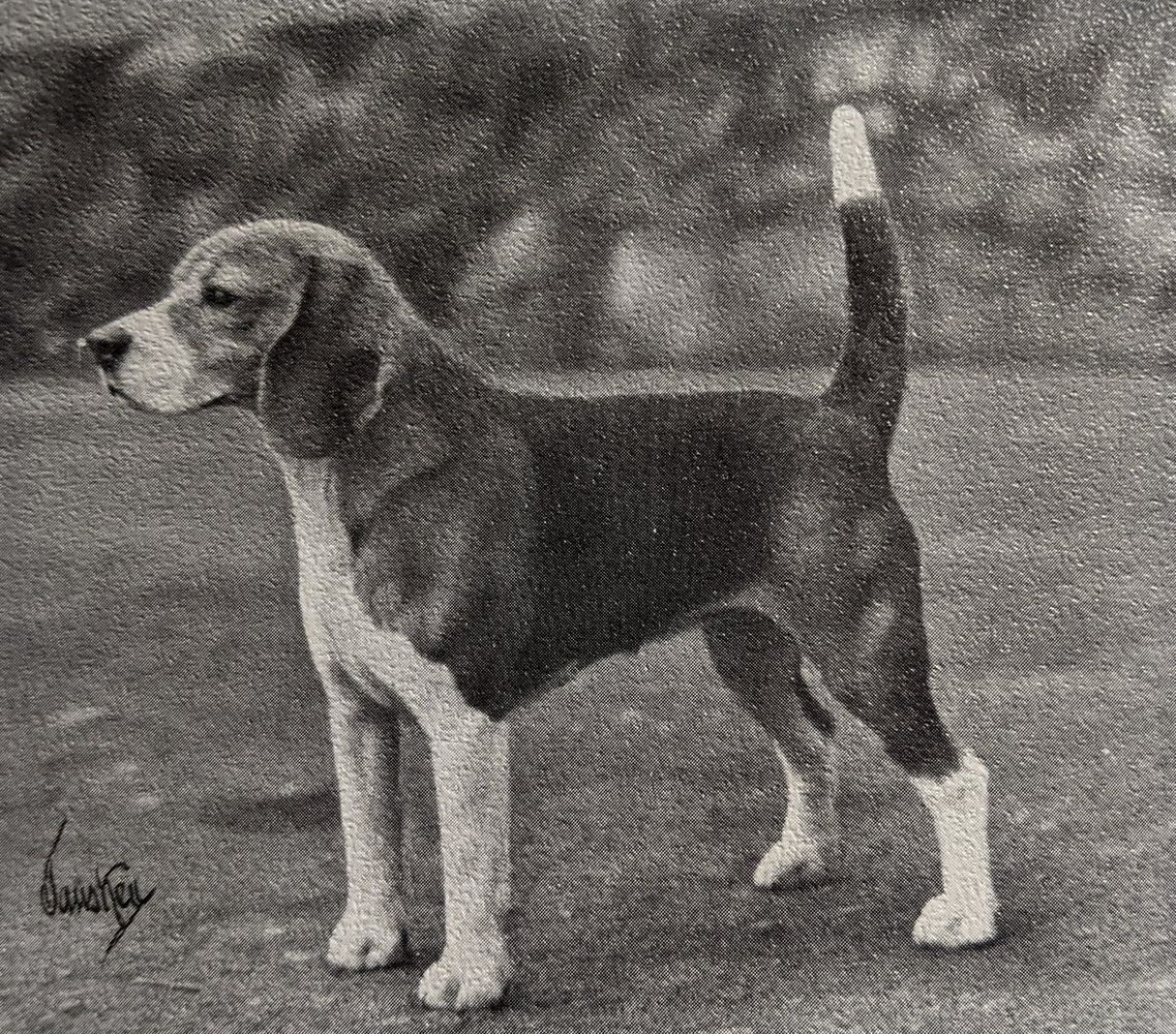 Pixshire's Texas Tally