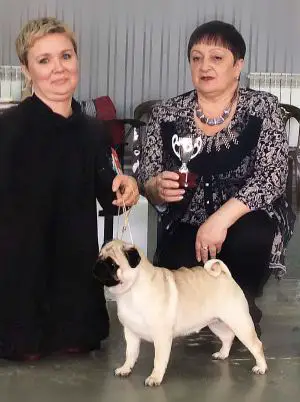 WRINKLE MOON RIVER