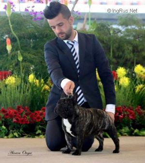 Don Pelayo Rey Astur