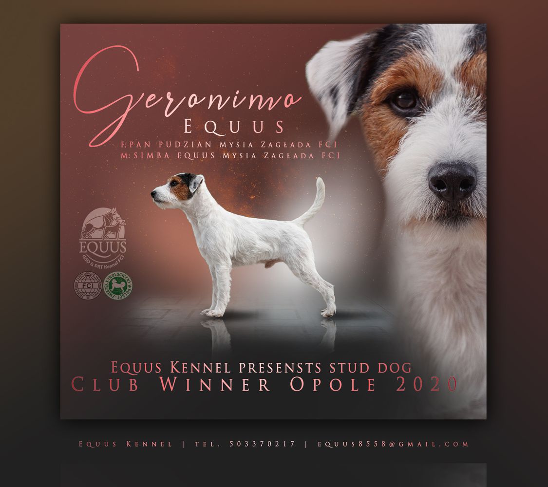 GERONIMO Equus