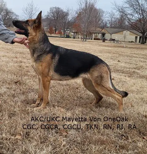 Mayetta von Oneoak