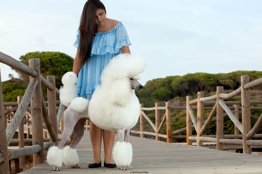 Vespertine Spectacular girl