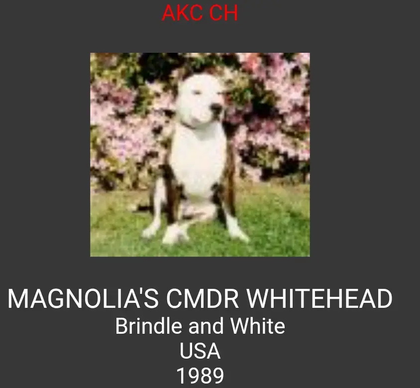 Magnolia's CMDR WhiteHead