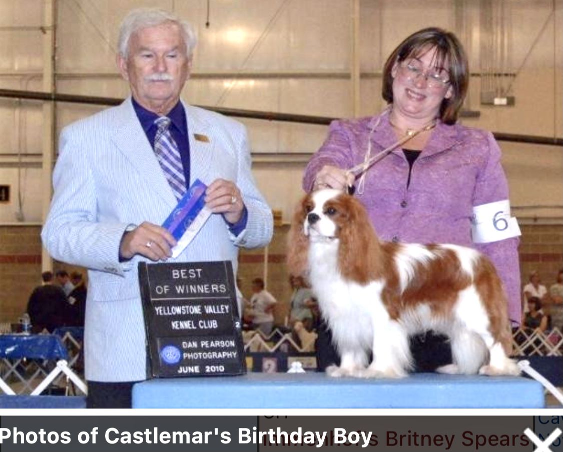 Castlemar’s Birthday Boy