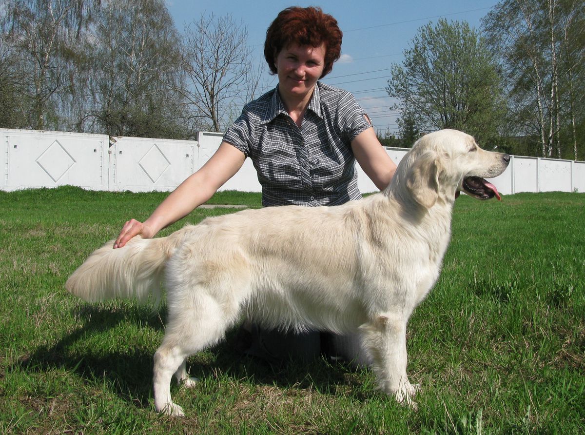 Ogon Luny Yasno Solnishko