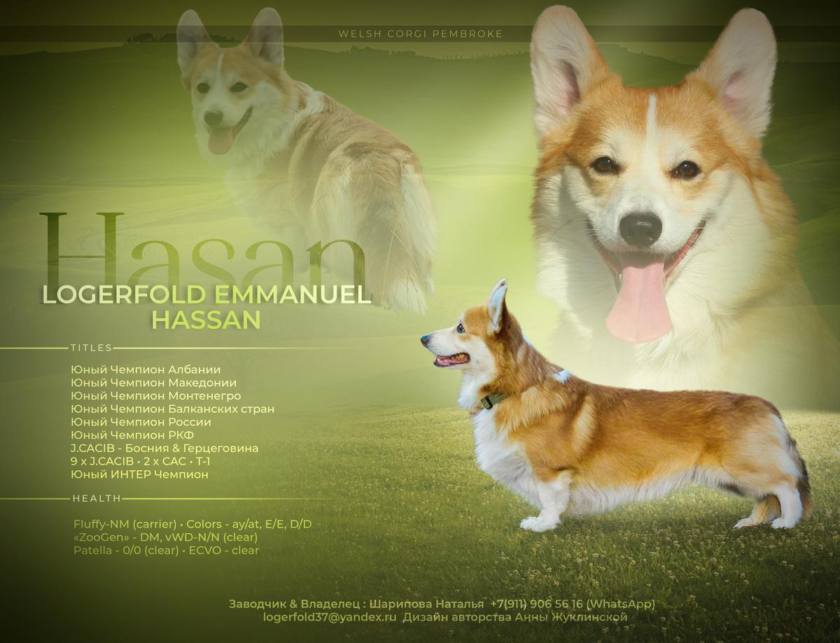 LOGERFOLD EMANUEL HASSAN