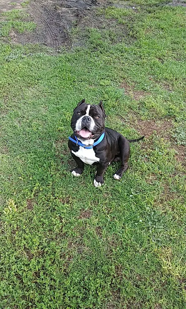 Wilson's true little aka Drake