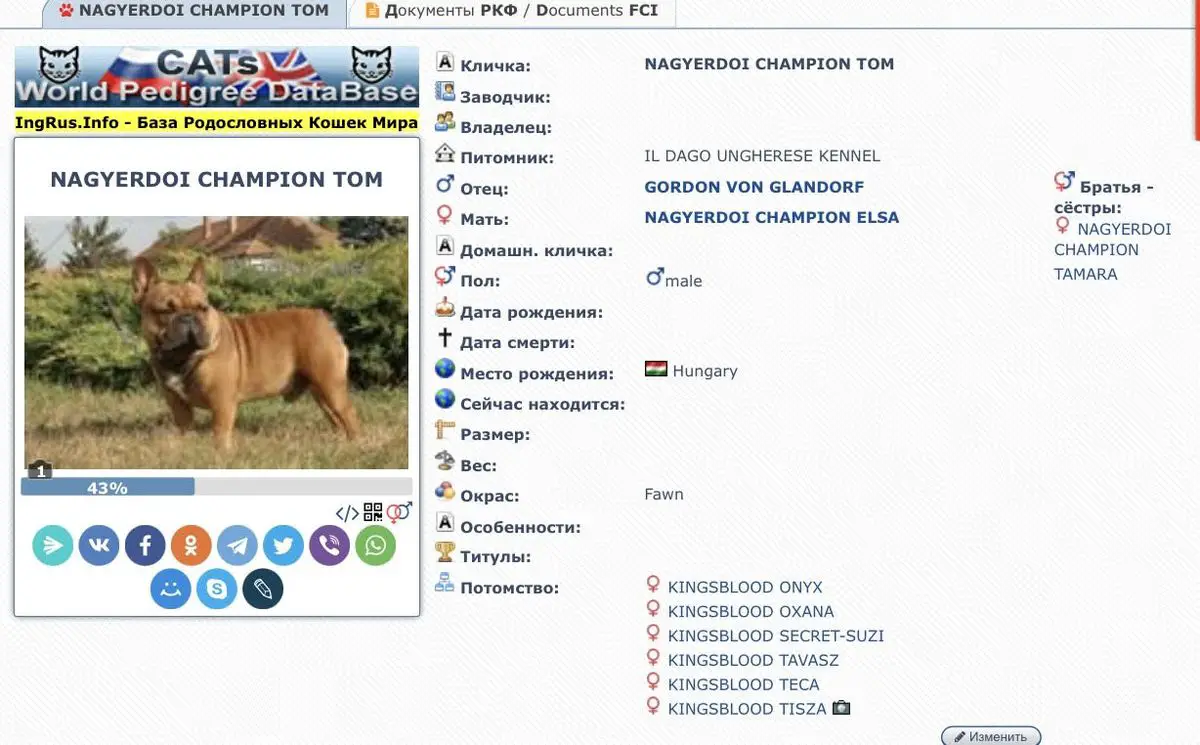 NAGYERDOI CHAMPION TOM