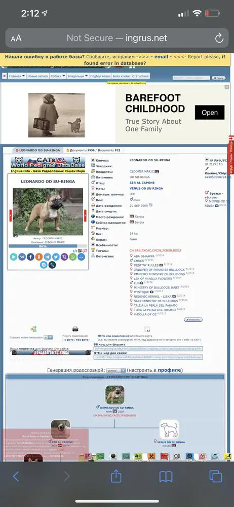LEONARDO OD SU-RINGA