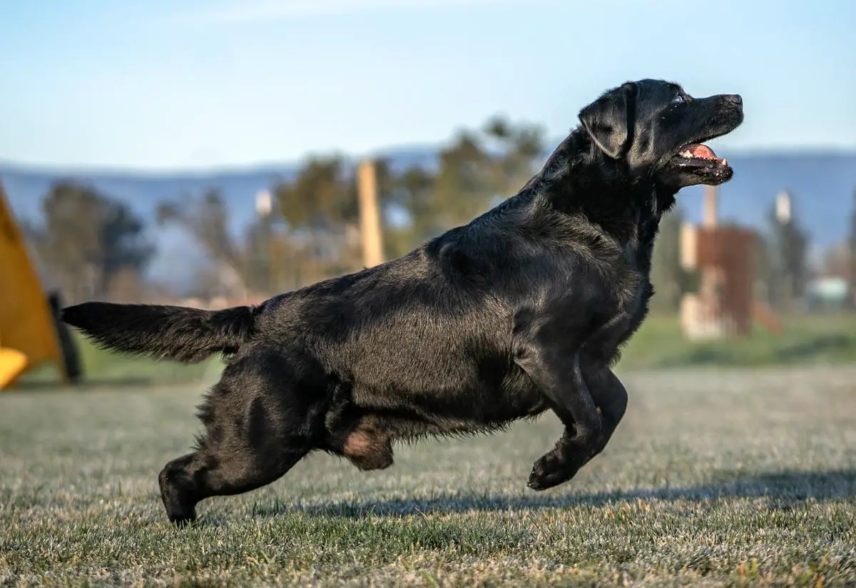 Loretta - Sky High Hope At Rimrock