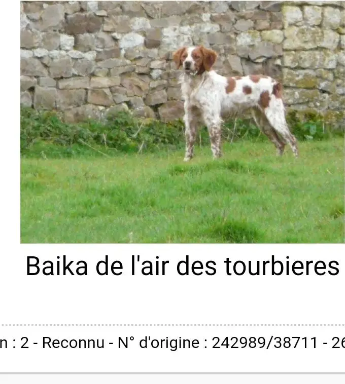 BAIKA de l'Air des Tourbiers