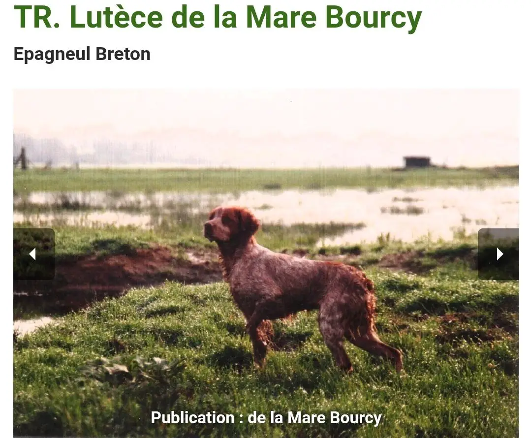 LUTECE de la Maree Bourcy