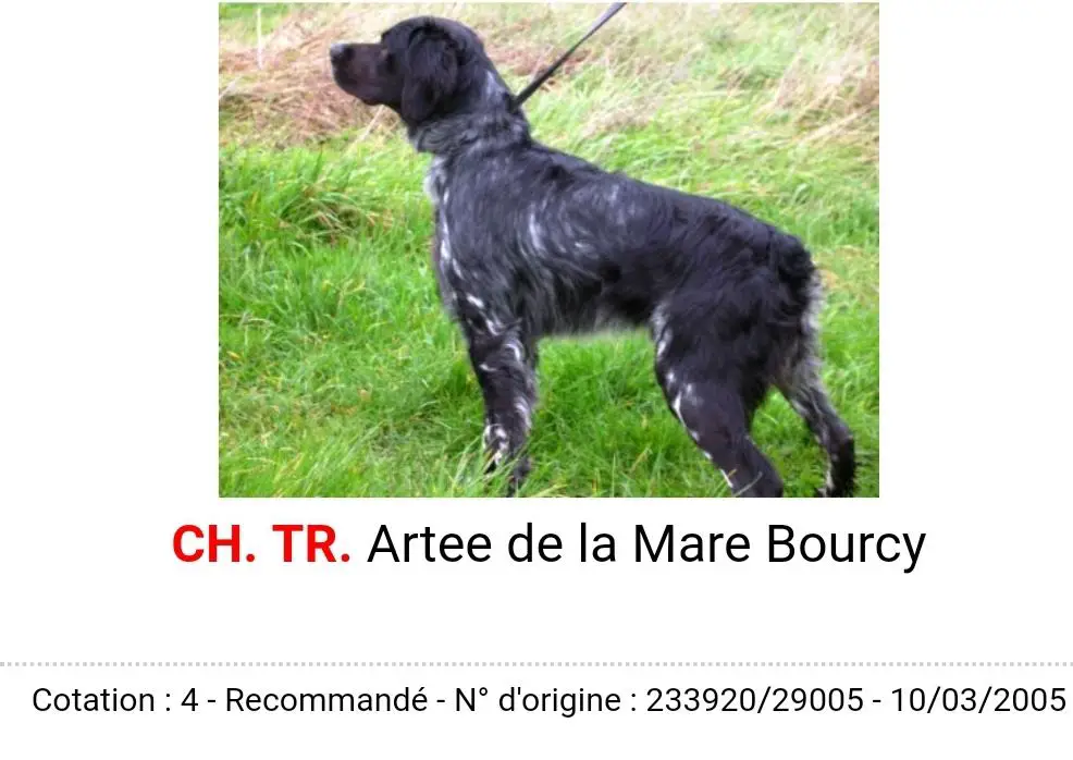 ARTEE de la Maree Bourcy