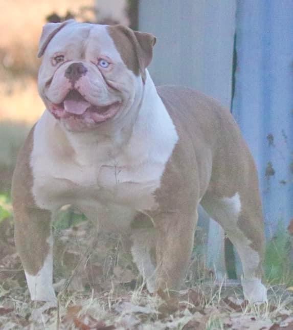 BullyBadass’s Thick Rick of Cole Creek