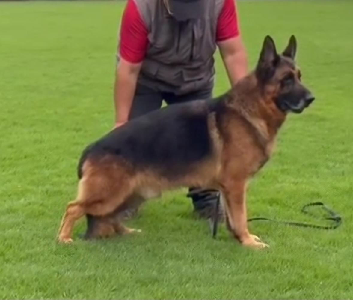 Ajax Vom VGland 2019