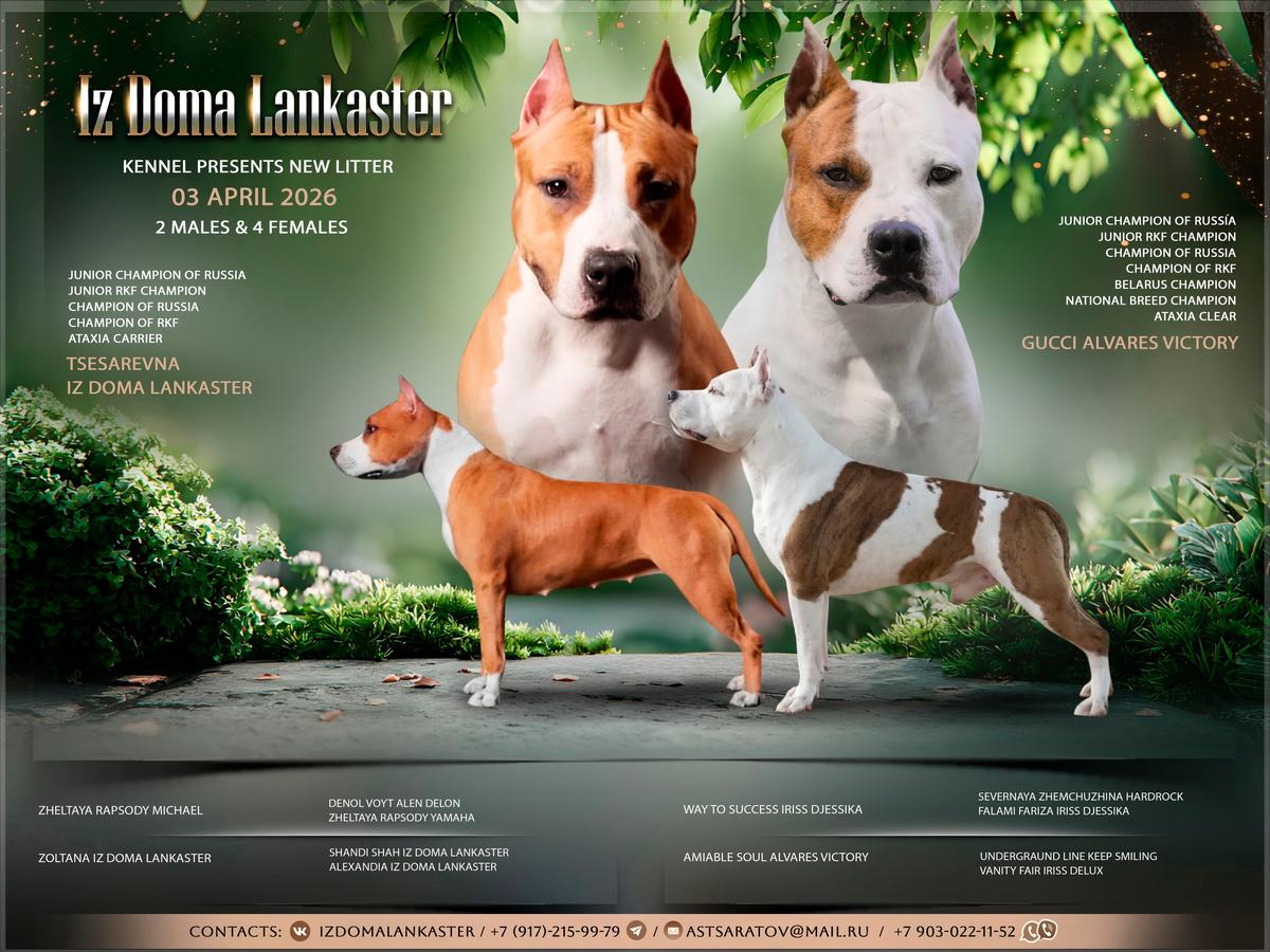 Puslan Iz Doma Lankaster