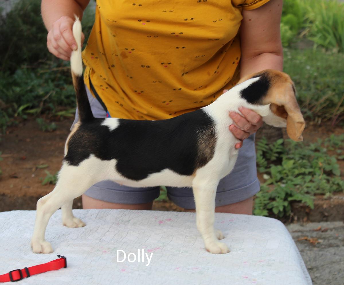 Dolly by Myron