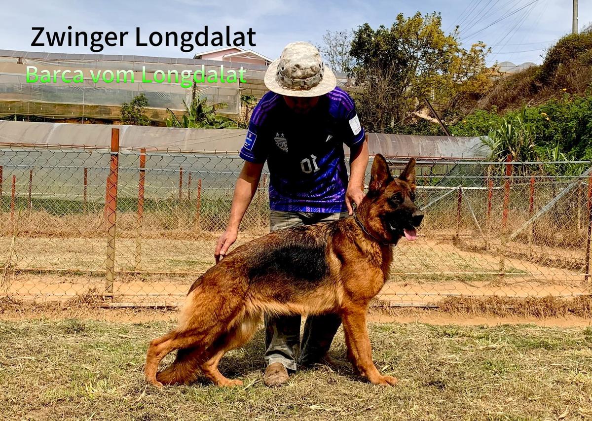 Barca vom Longdalat