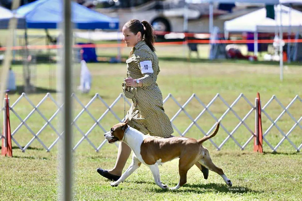 Dotcom's Good Girl Gone Bad