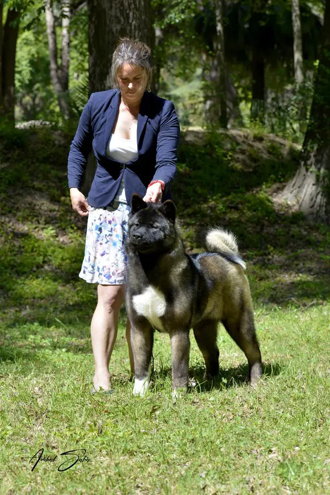 Volmaan Penny Hofstadter